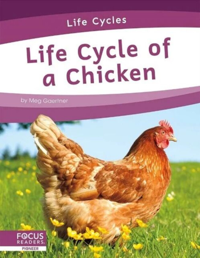 Life Cycles: Life Cycle of a Chicken av Meg Gaertner