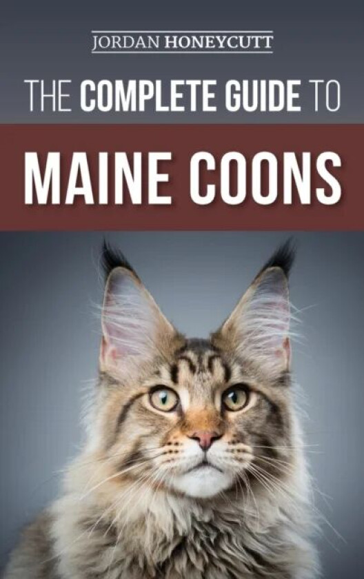 The Complete Guide to Maine Coons av Jordan Honeycutt