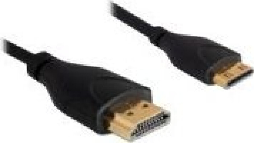 Delock High Speed Hdmi With Ethernet - Hdmi-Kabel Med Ethernet - Hdmi Hann Til 19 Pin Mini Hdmi Type C Hann - 1 M
