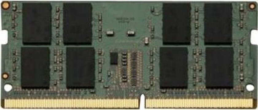 - Ddr4 - Modul - 16 Gb - So Dimm 260-Pin - For Toughbook 55