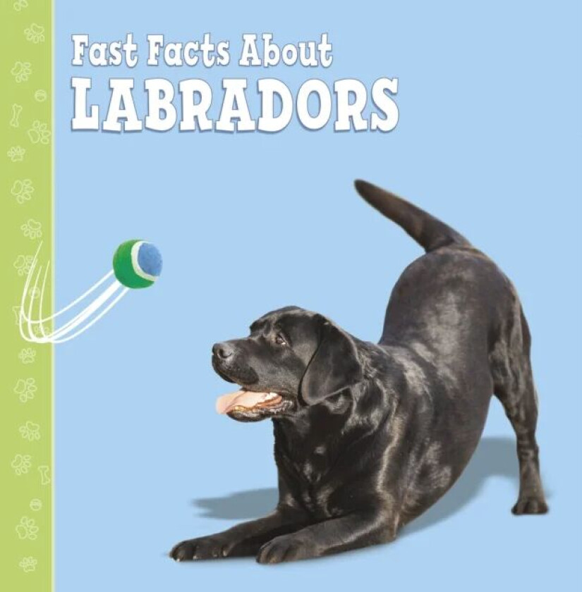 Fast Facts About Labradors av Marcie Aboff