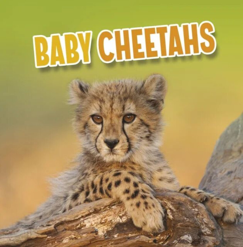 Baby Cheetahs av Martha E. H. Rustad