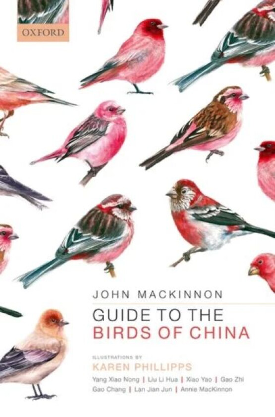 Guide to the Birds of China av John (Honorary Professor (Retired) Hon MacKinnon