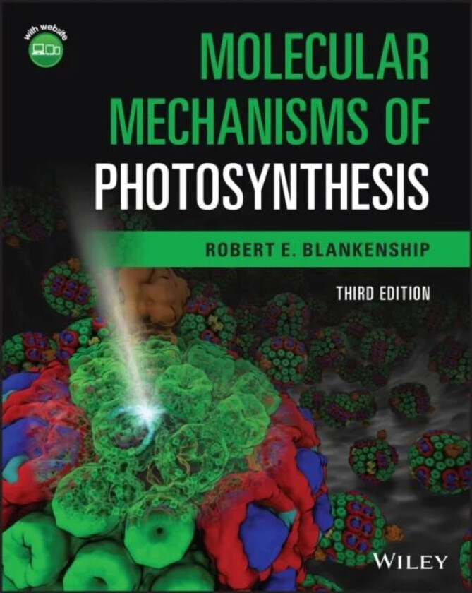 Molecular Mechanisms of Photosynthesis av Robert E. (Arizona State University) Blankenship