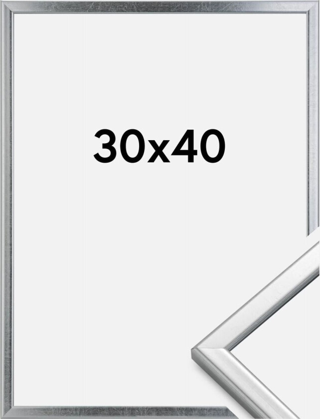 Ramme Slim Matt Antirefleksglass Sølv 30x40 Cm