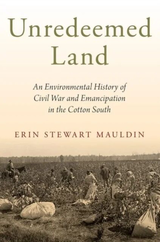 Unredeemed Land av Erin Stewart (Assistant Professor of Hist Mauldin