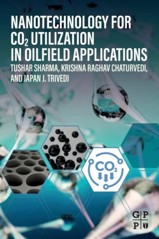 Nanotechnology for CO2 Utilization in Oilfield Applications av Tushar (Associate Professor Rajiv Gandhi Institute of Petroleum Technology (RGIPT) Jais