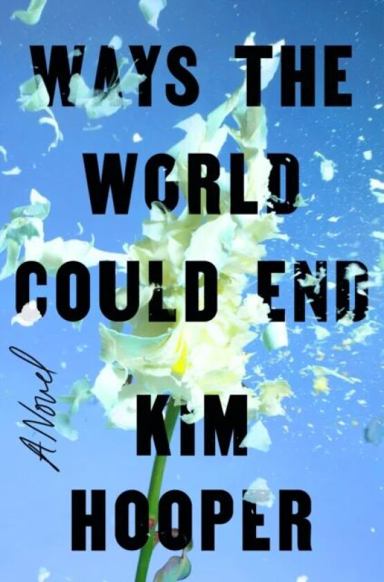 Ways the World Could End av Kim Hooper