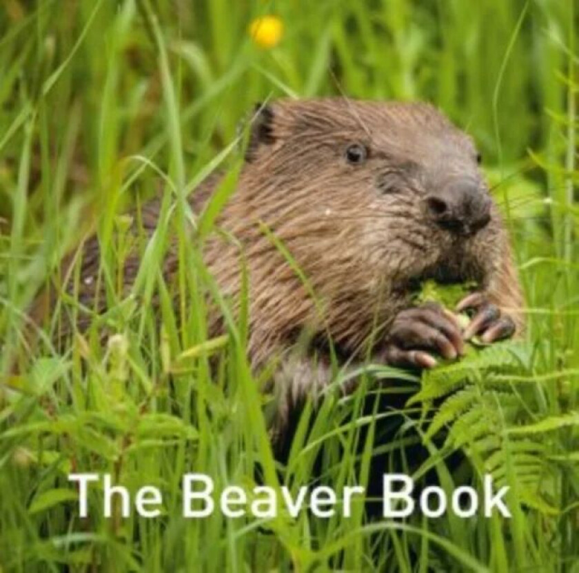 Beaver Book, The av Hugh Warwick