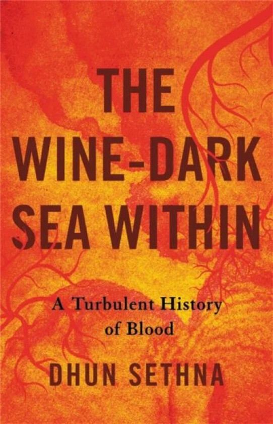 The Wine-Dark Sea Within av Dhun Sethna
