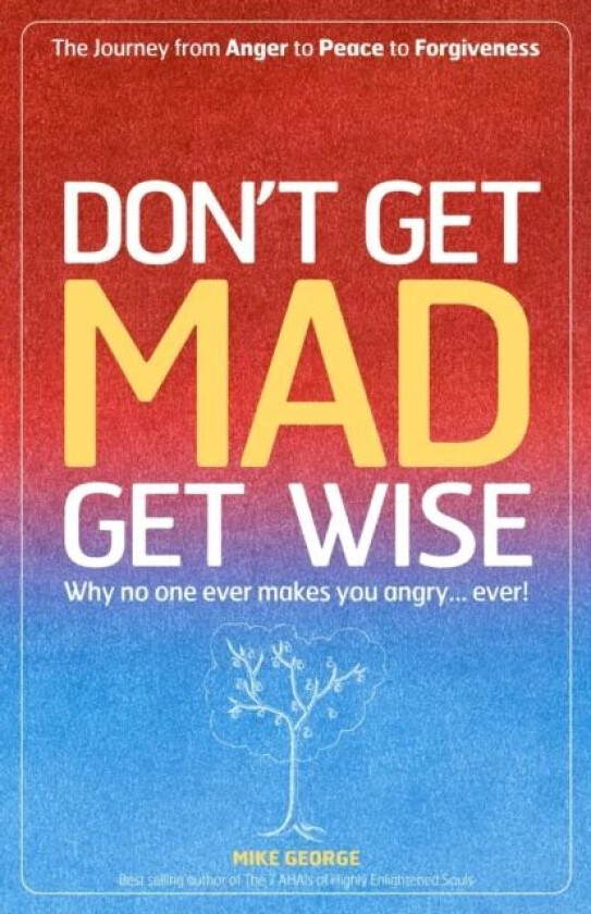 Don`t Get MAD Get Wise ¿ Why no one ever makes you angry! av Mike George