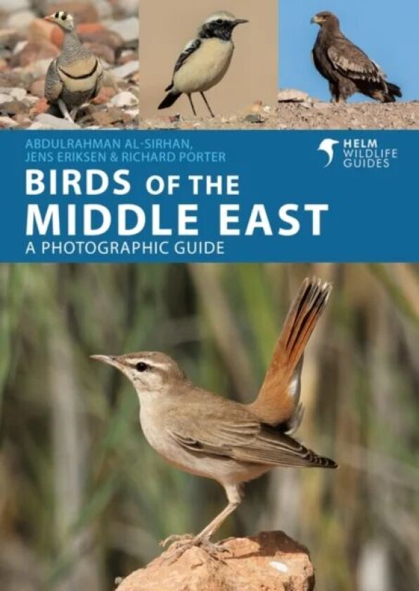 Birds of the Middle East av Jens Eriksen, Richard Porter, AbdulRahman Al-Sirhan