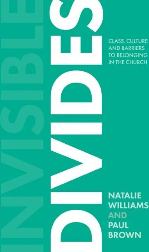 Invisible Divides av Natalie Williams, Paul Brown