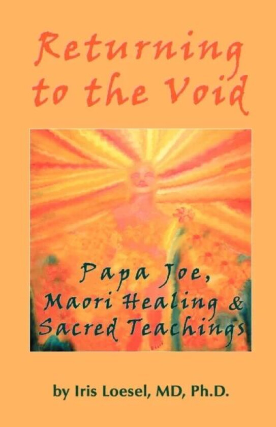 Returning to the Void av Phd Iris MD Loesel