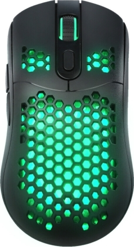 G925, Ambidekstriøs, Optisk, Usb Type-A, 12000 Dpi, Sort