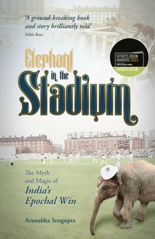 Elephant in the Stadium av Arunabha Sengupta