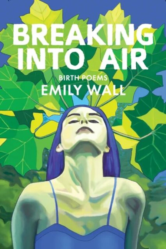 Breaking into Air av Emily Wall