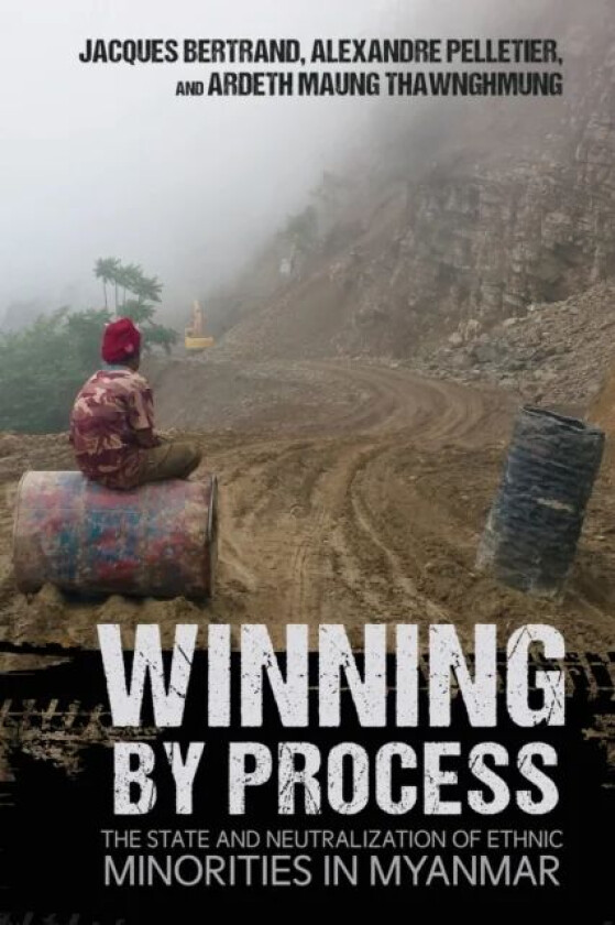Winning by Process av Jacques Bertrand, Alexandre Pelletier, Ardeth Maung Thawnghmung