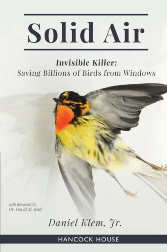 Solid Air av Daniel Klem Jr