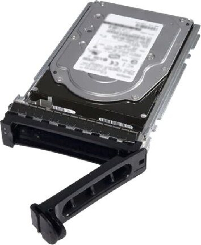 - Harddisk - 4 Tb - Hot-Swap - 3.5" - Sas 12Gb/S - 7200 Rpm