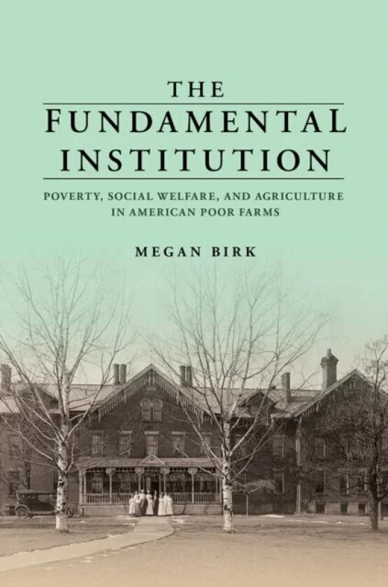 The Fundamental Institution av Megan Birk