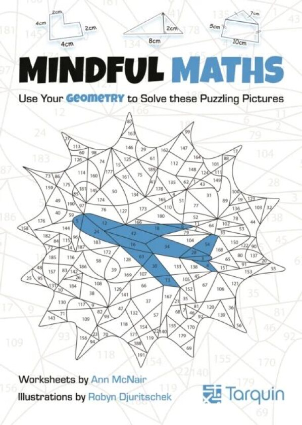 Mindful Maths 2 av Ann McNair