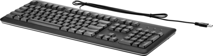 Hp - Tastatur - Usb - Pan Nordic