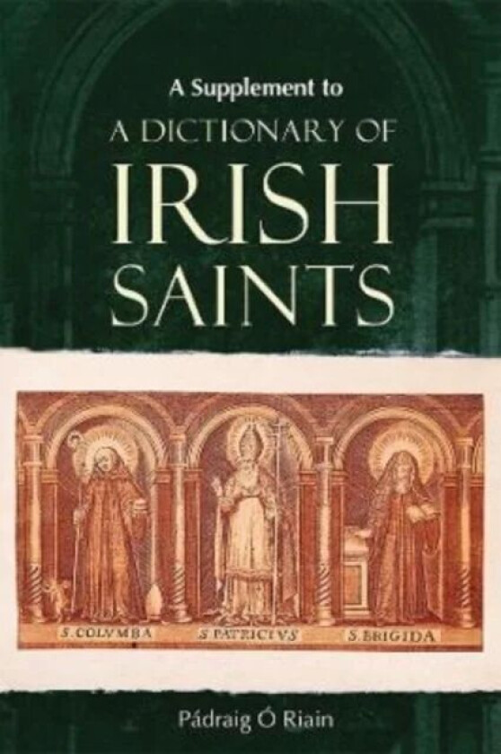 A Supplement to a Dictionary of Irish Saints av Padraig O Riain