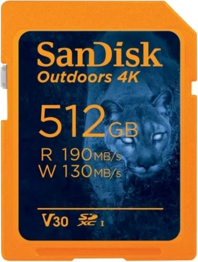Sandisk Extreme Plus - Flashminnekort - 32 Gb