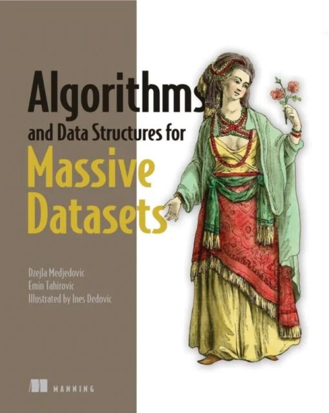 Algorithms and Data Structures for Massive Datasets av Dzejla Medjedovic, Emin Tahirovic