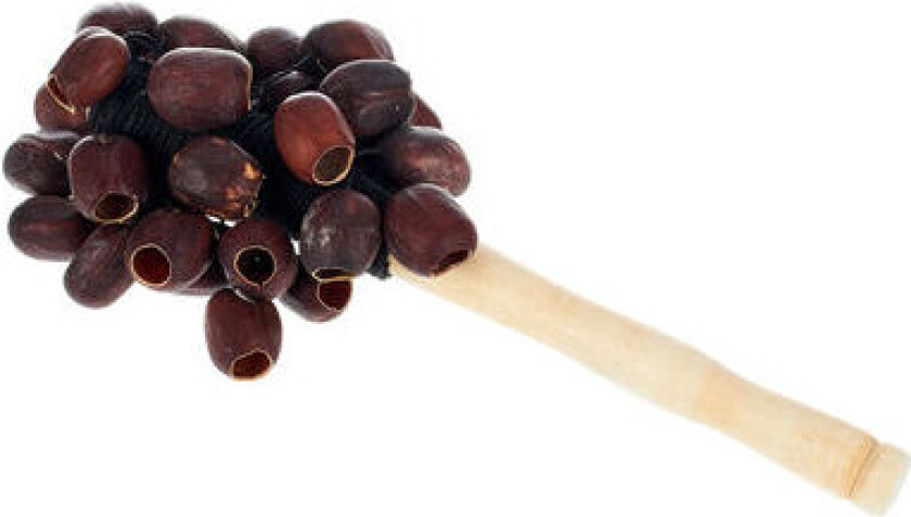 Terre Stickshaker Kemiri Seeds