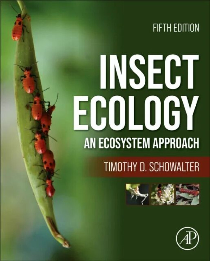 Insect Ecology av Timothy D. (Professor of Entomology Louisiana State University Baton Rouge Louisiana USA) Schowalter