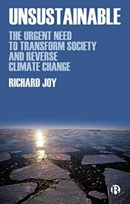 Unsustainable av Richard (Director and sustainability consultant at The Low Carbon Strategy Network Ltd.) Joy