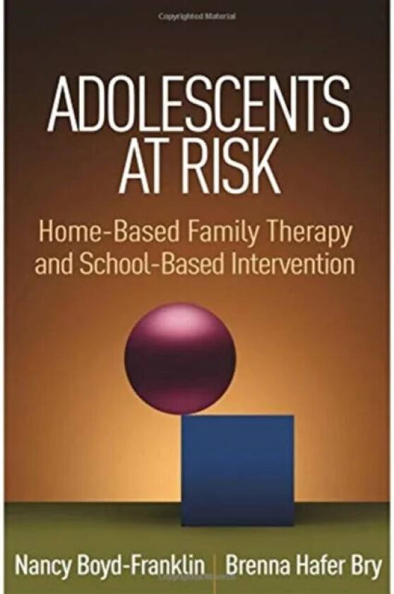 Adolescents at Risk av Nancy Boyd-Franklin, Brenna Hafer Bry