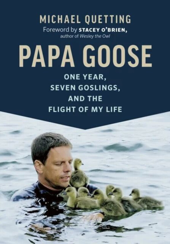 Papa Goose av Michael Quetting