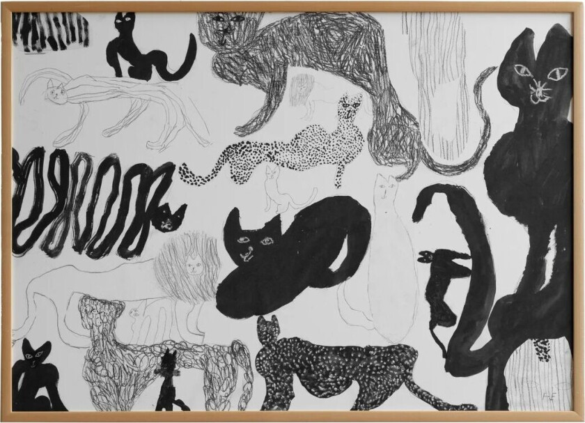 Cats plakat 50 x 70 cm