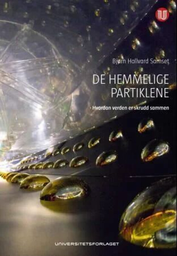De hemmelige partiklene av Bjørn H. Samset