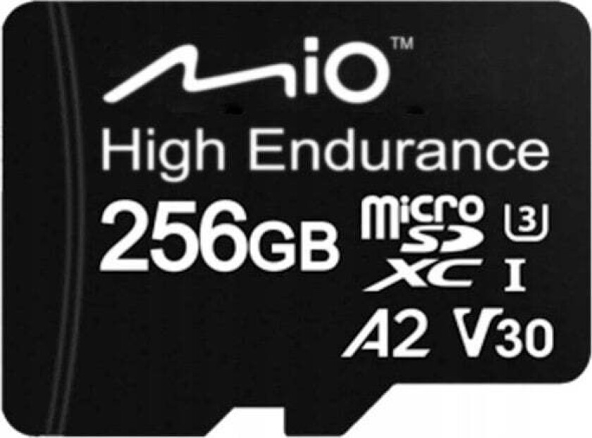 Microsd High Endurance 256Gb