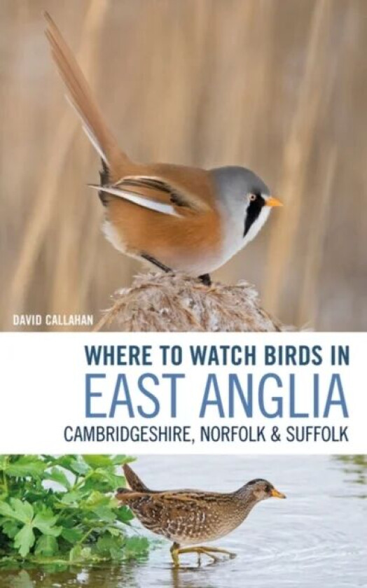 Where to Watch Birds in East Anglia av David Callahan