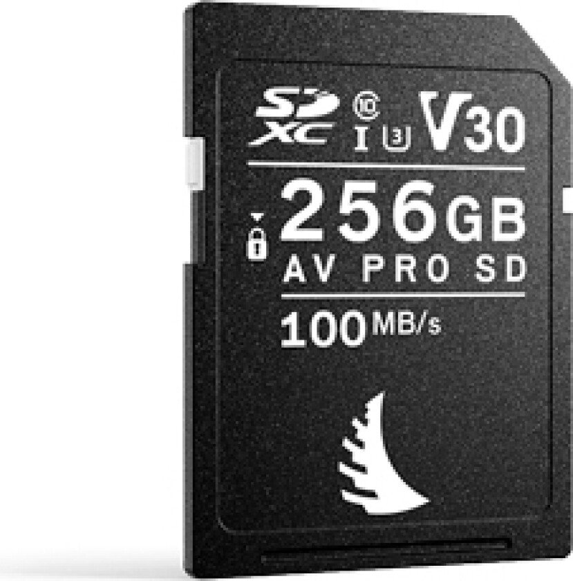 Sd-Kort Av Pro 256Gb V30