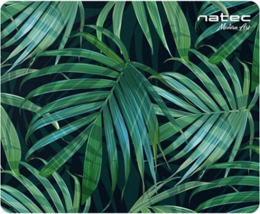 Matte Natec Musematte Foto Modern Art Palm Tree 220X180mm 10 Pakke.