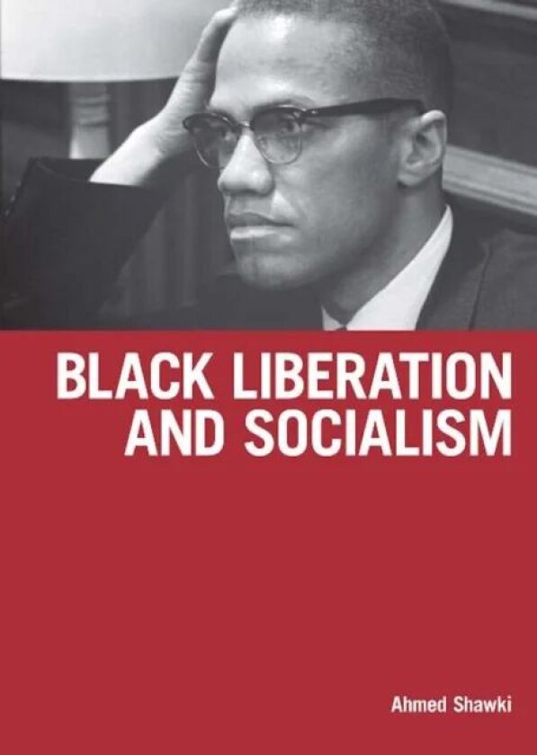 Black Liberation And Socialism av Ahmed Shawki