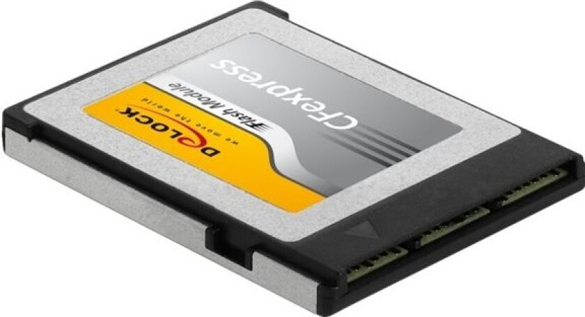 Delock - Flashminnekort - 256 Gb - Cfexpress