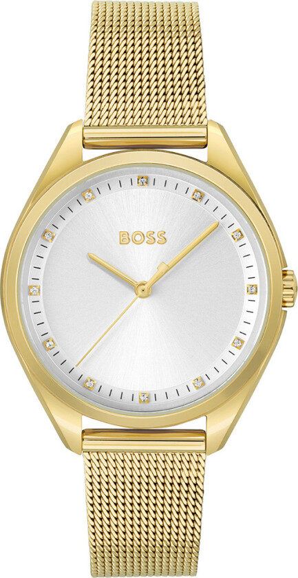 Hugo Boss Boss Saya, Dameklokke i gullfarget stål med meshlenke