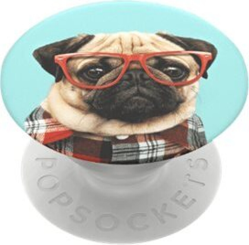 Popsockets Swappable Popgrip - Fingergrep/Stativ For Mobiltelefon - Studious Stu - Pug In Plaid With Sunglasses