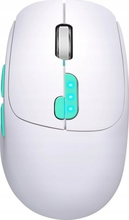 Nitta Mm-307 Trådløs Mus Optisk 1600Dpi 2,4 Ghz + Bluetooth Hvit Batteri