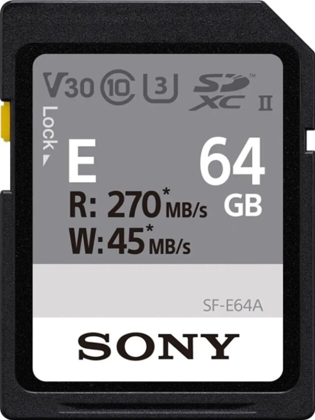 E Series - Flashminnekort - 64 Gb