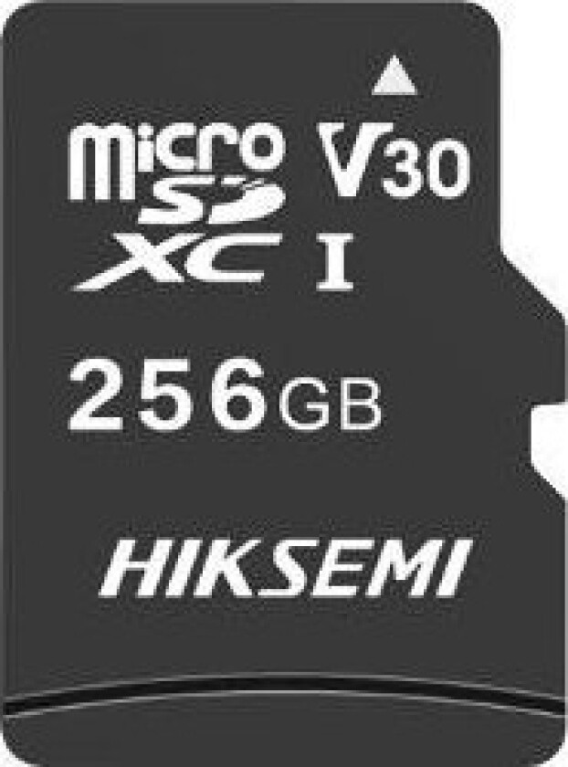 Hiksemi Hs-Tf-C1 Neo Micro Sd Minnekort 256Gb