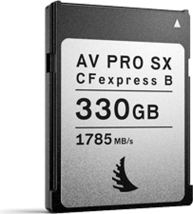 Technologies Av Pro Cfexpress B Sx, 330 Gb, Cfexpress, 1785 Mb/S, 1600 Mb/S, Sølv, Sort