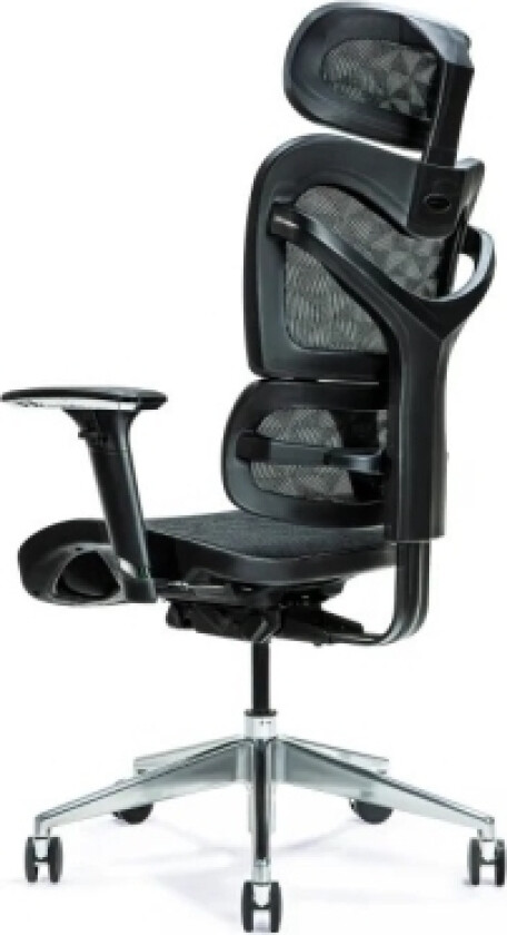 Ergonomisk Kontorstol Ergo 600 Sort